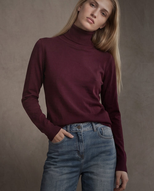 POLINA | Cashmere Enriched Roll Neck | Fig